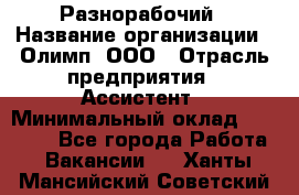 Разнорабочий › Название организации ­ Олимп, ООО › Отрасль предприятия ­ Ассистент › Минимальный оклад ­ 25 000 - Все города Работа » Вакансии   . Ханты-Мансийский,Советский г.